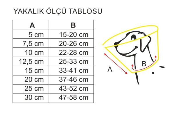 TALES - Yakalık Şeffaf - 12.5 Cm